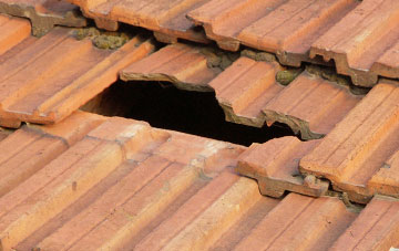 roof repair Buscott, Somerset